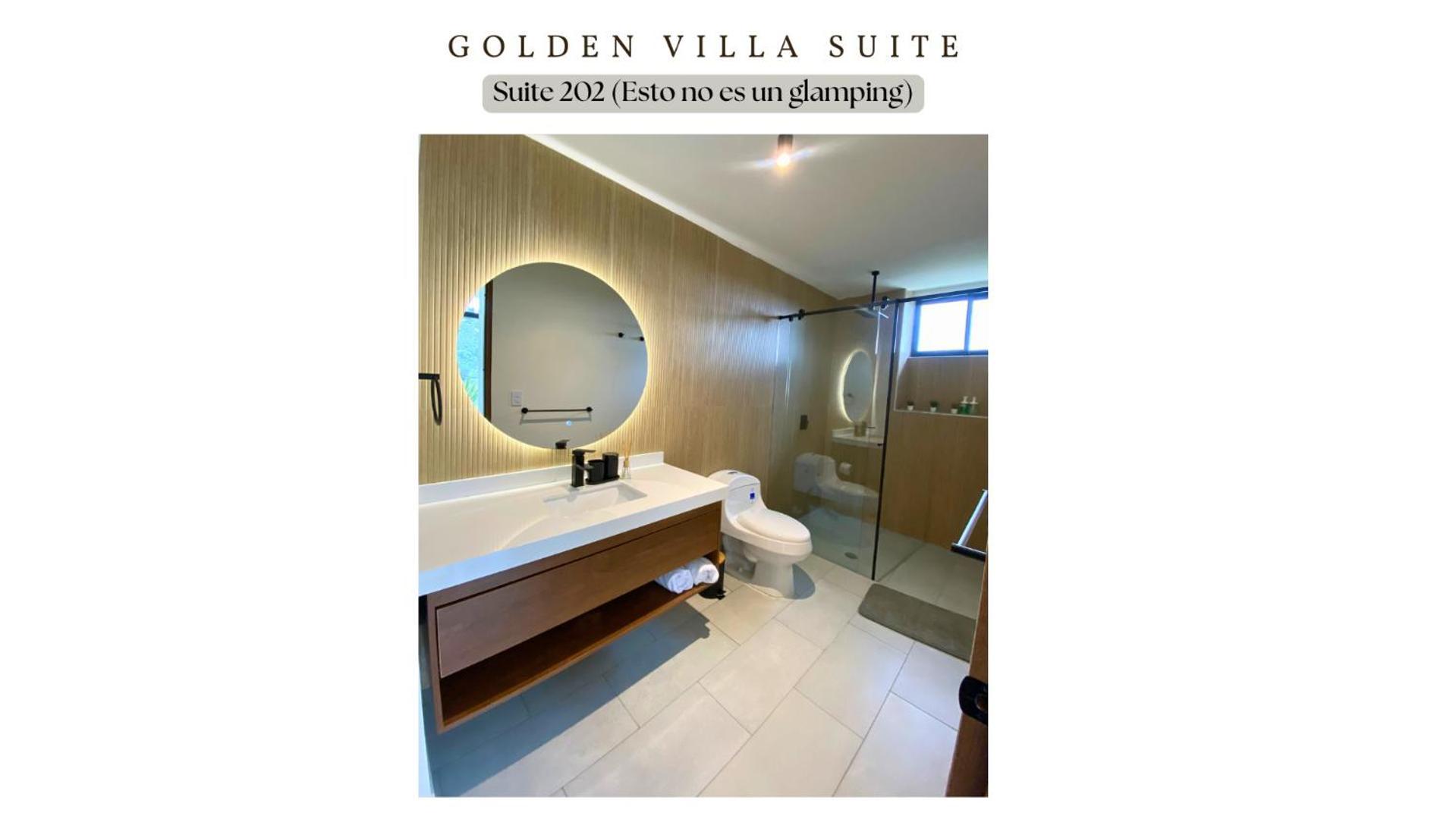 Suite Mountain View